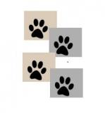 Capture pattes