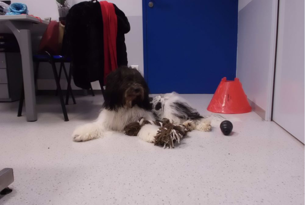 Entrainement medical muffin 1