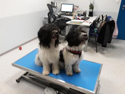 Entrainement medical muffin et only you